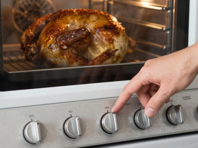 Is it Worth Repairing a 10 Year Old Stove? A Cost-Benefit Guide